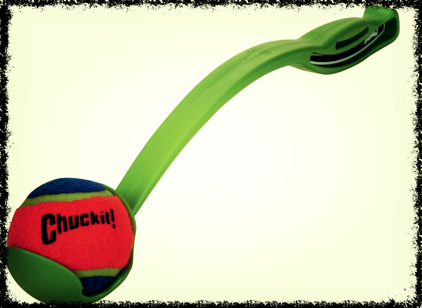 Process… and Dog Ball Launchers The Crow Flies